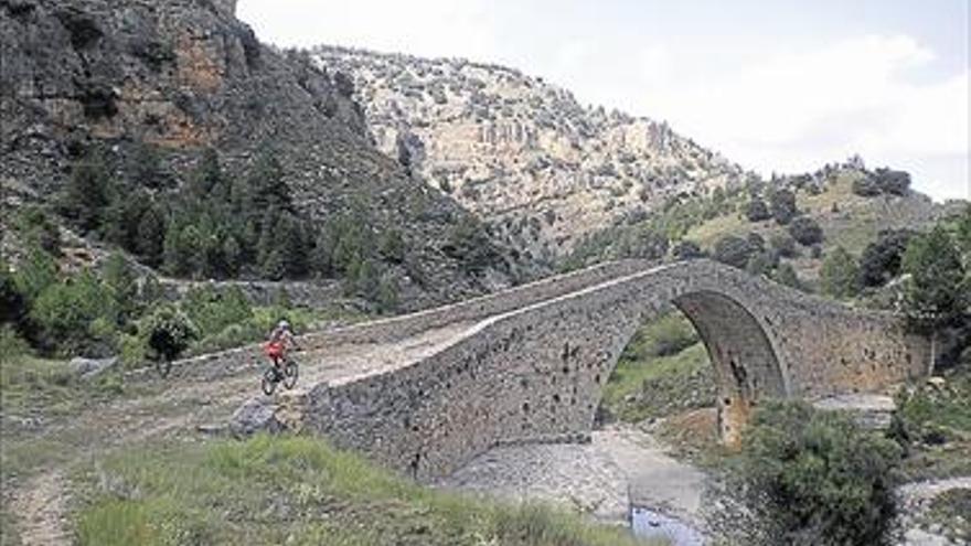 Organitzen una volta en bici per Vistabella Una ruta per la natura