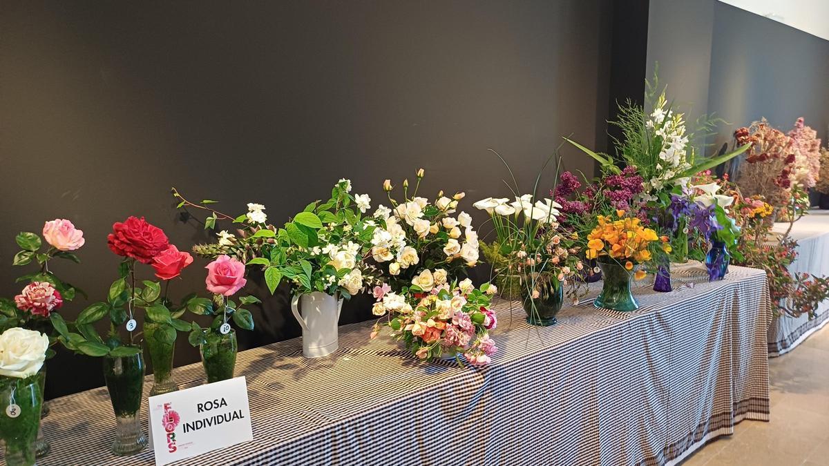 Les flors presentades al concurs de flors de l'any passat al certamen Guíxols Flors.