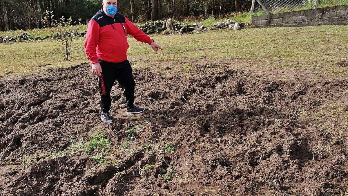 Luciano Lorenzo muestra los daños provocados por el jabalí en su finca. |   // SANTOS ÁLVAREZ