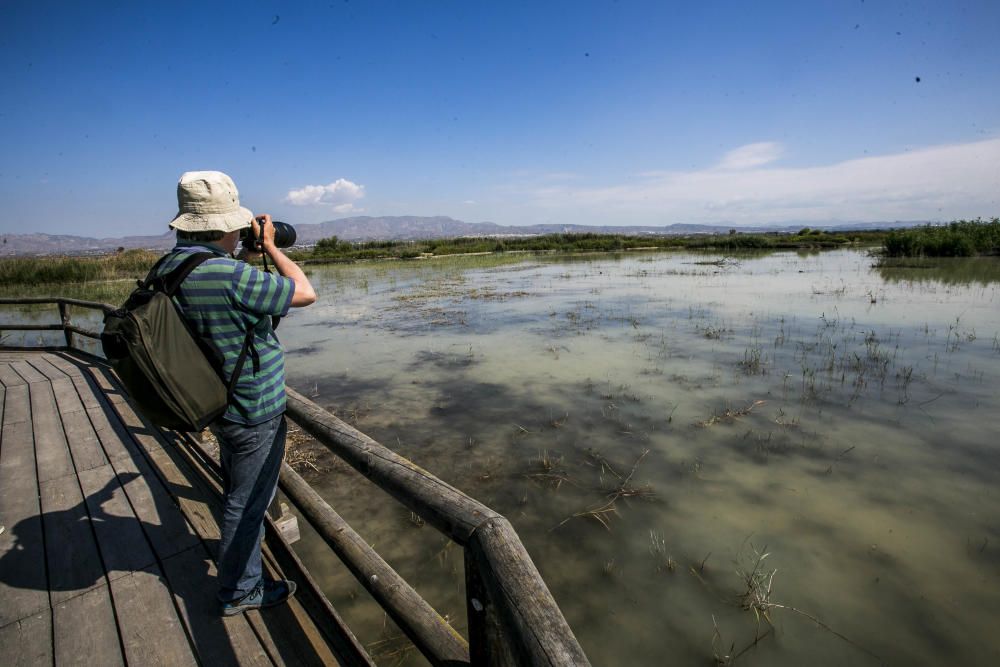 Ecologistas quieren proteger El Hondo