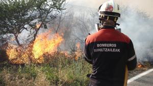 Se han registrado once grandes incendios, cinco menos que la media de los últimos diez años.