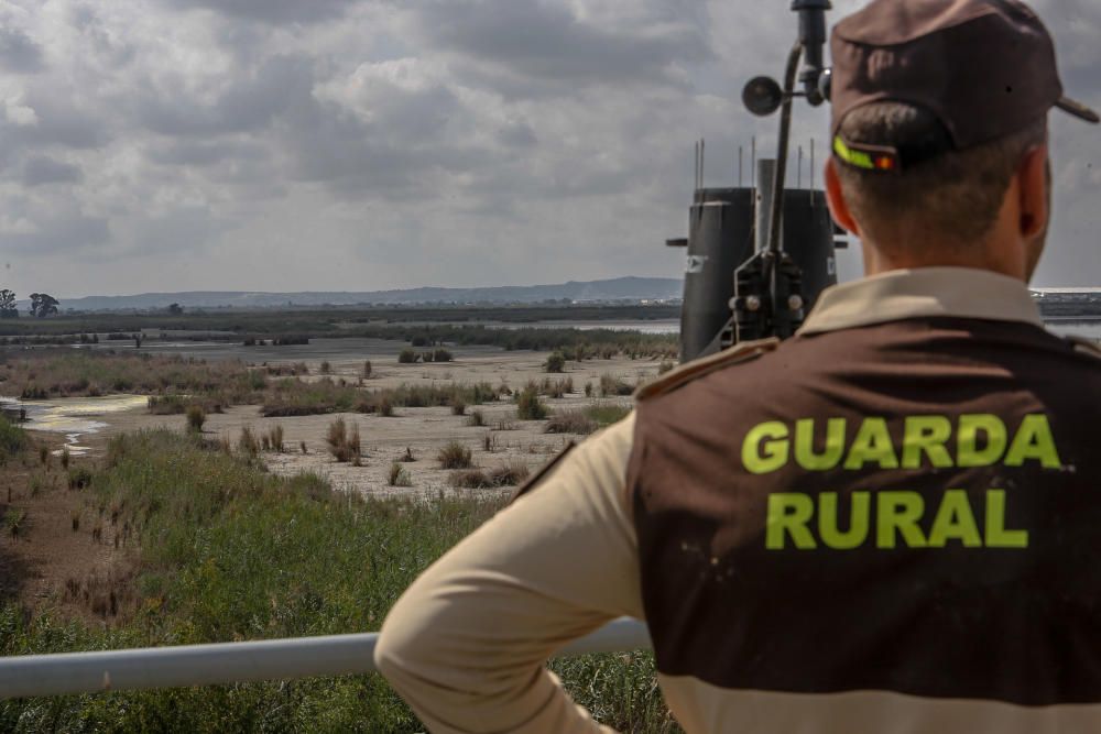 Lucha en El Hondo contra la invasión de la carpa