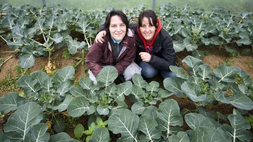 Emprendedoras que abrieron una explotación de hortalizas en Carral, en 2016.