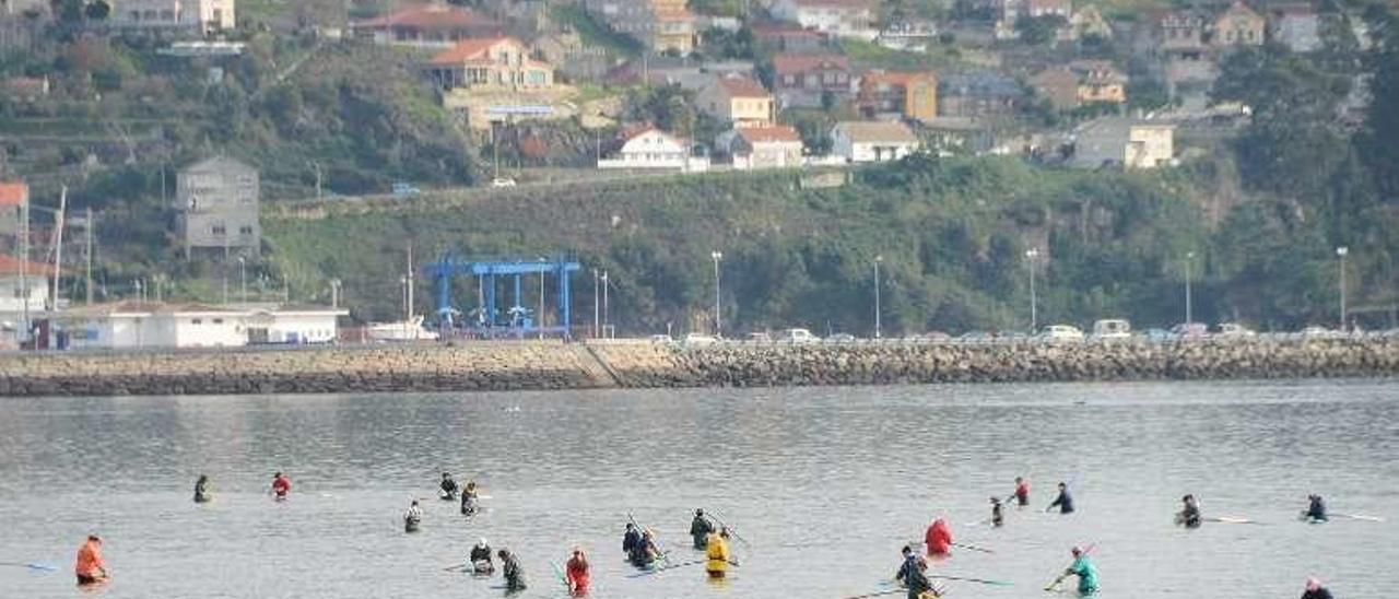 Mariscadoras de Moaña trabajando en A Xunqueira. // Gonzalo Núñez