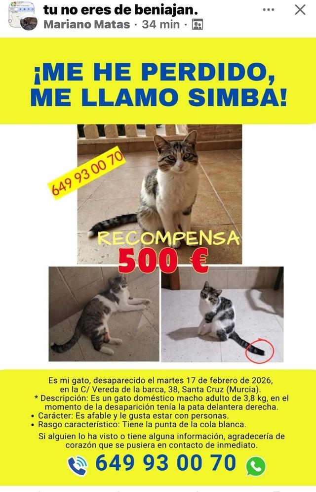 Cartel de búsqueda de Simba en el que se ofrece la recompensa