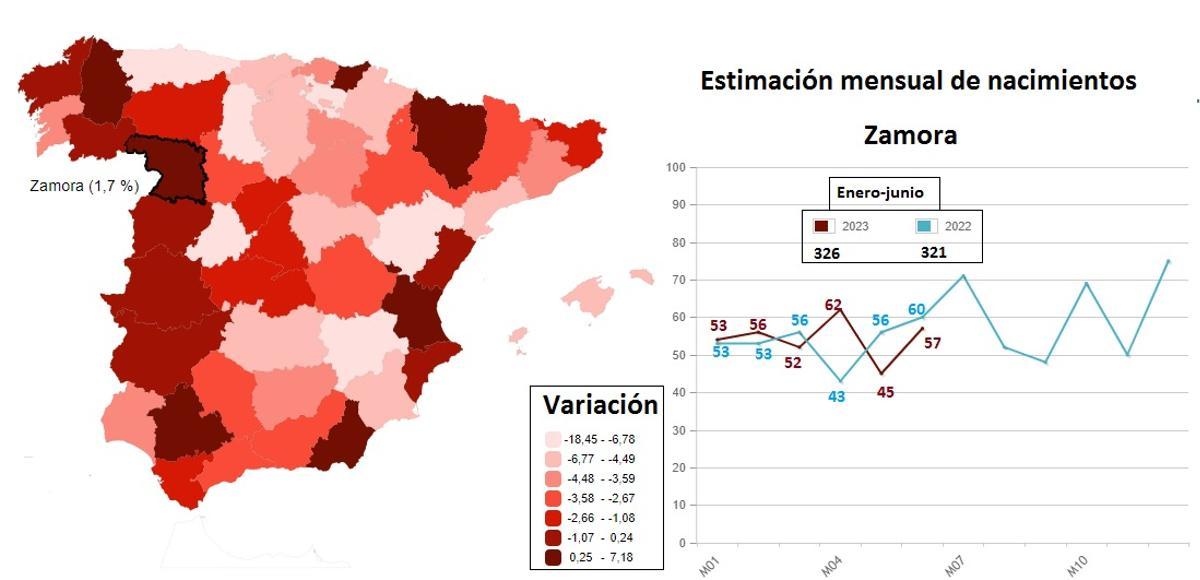 Evolución de los nacimientos en Zamora