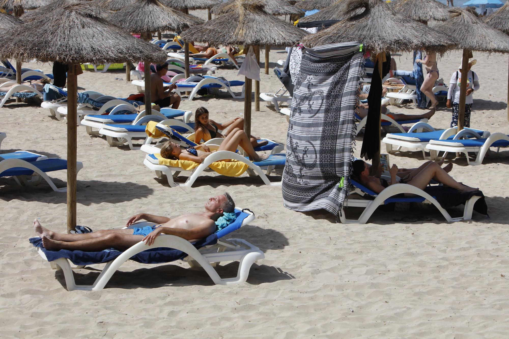 Sommer in Peguera: So genießen die Mallorca-Urlauber das Leben am beliebten Badestrand