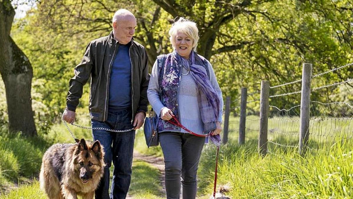 23 paseos: enamoramientos en la edad madura sacando al perro.