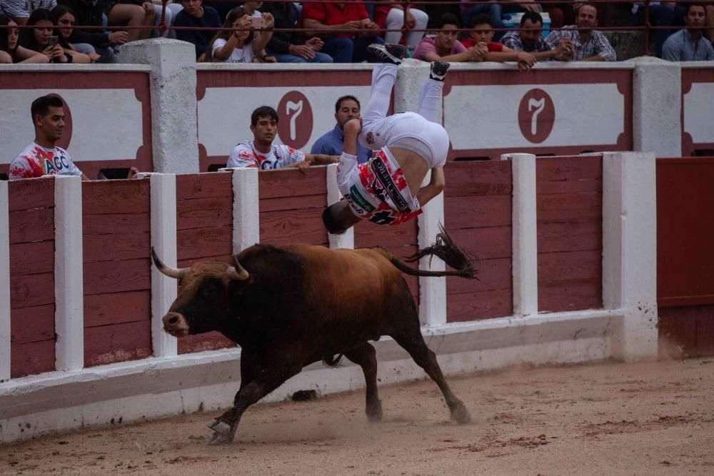 Concurso de cortes San Pedro