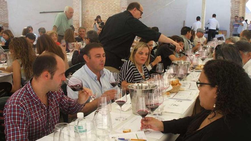 Expertos valoran los vinos de la Denominación de Origen Toro en una cata de calificación de la añada.