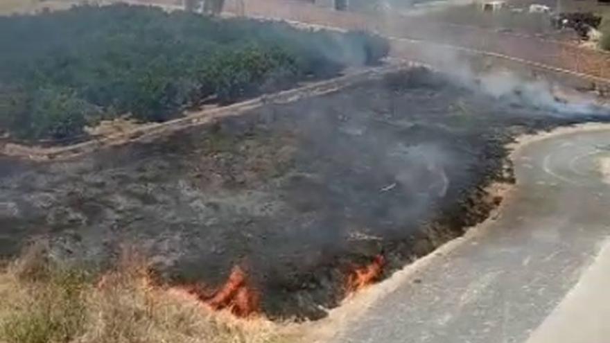 Incendio en un solar de Nules