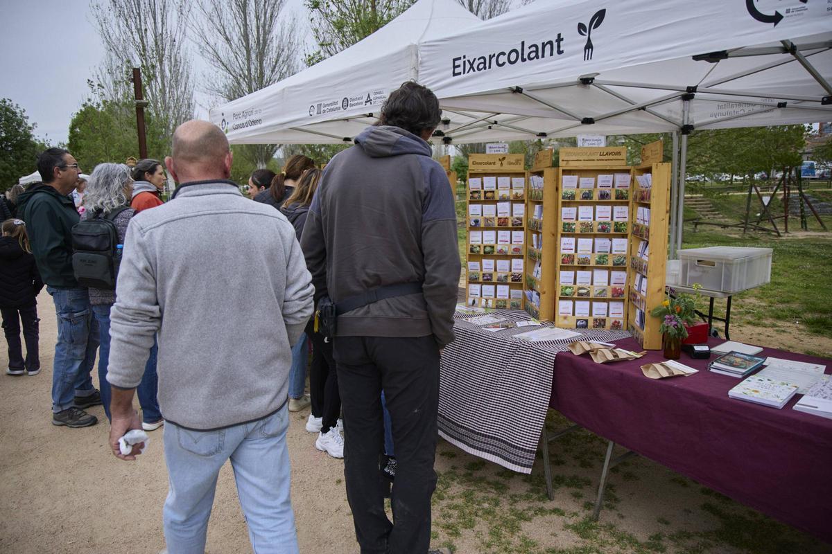 Una gentada s’ha acostat per visitar els 34 expositors presents, per participar en algun dels tallers programats o passejar per l’espai natural de la Fira de la Flor i el Planter. Una gentada s’ha acostat per visitar els 34 expositors presents, per participar en algun dels tallers programats o passejar per l’espai natural de la Fira de la Flor i el Planter.