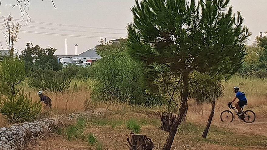 Dos ciclistas pasean por la zona arbolada del cauce.