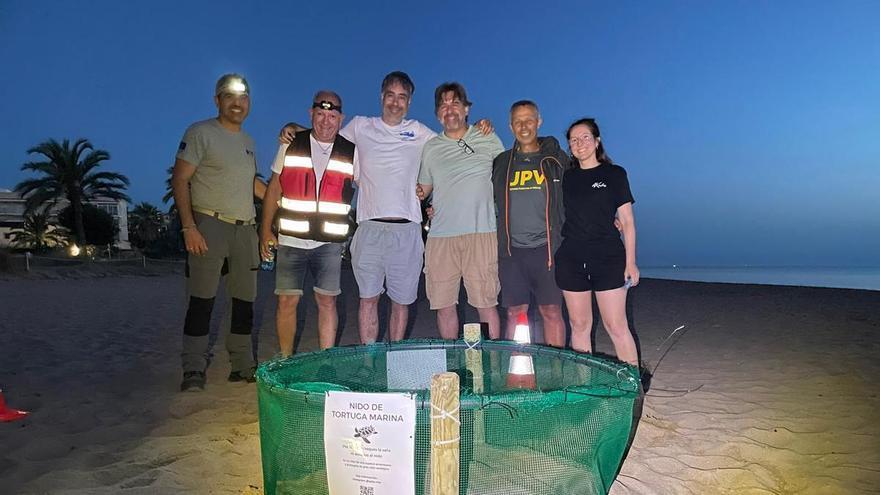 La tortuga Diana vuelve a Dénia: registrado el primer desove del año en la Comunitat Valenciana