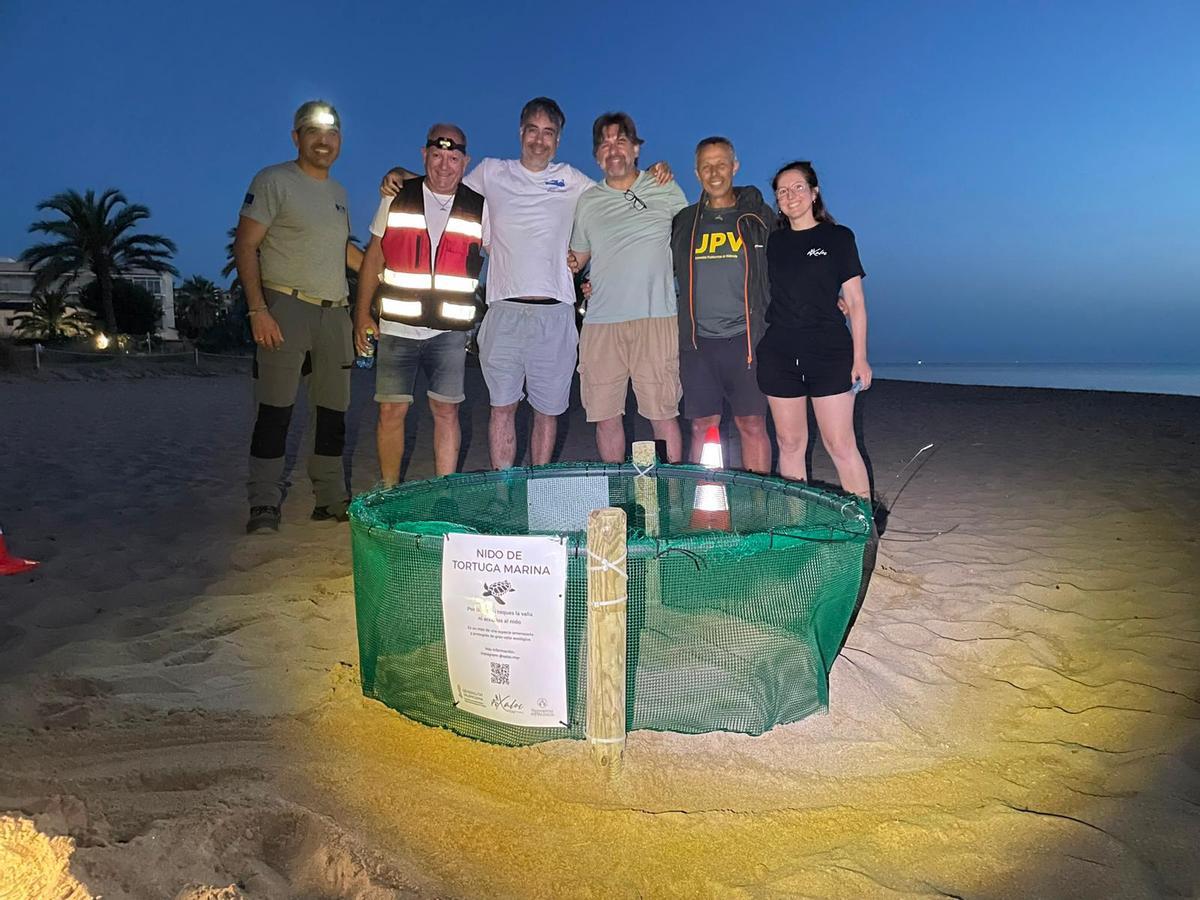 Hallazgo del primer nido de tortuga boba en Dénia