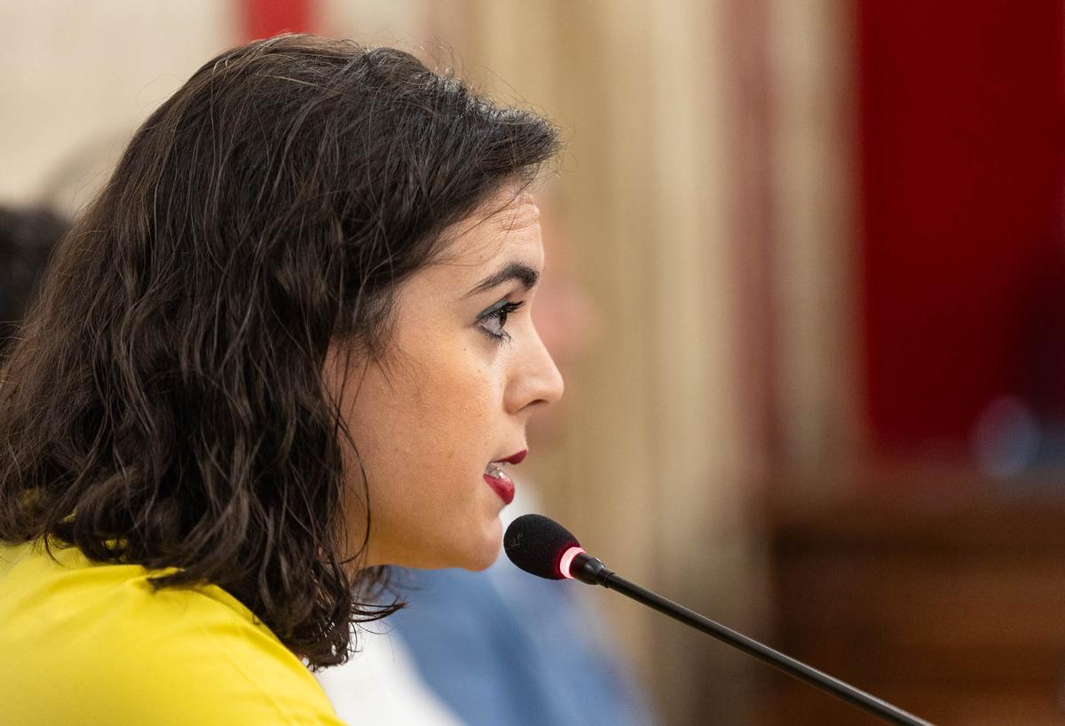 Las imágenes del Pleno Extraordinario del Ayuntamiento de Alicante