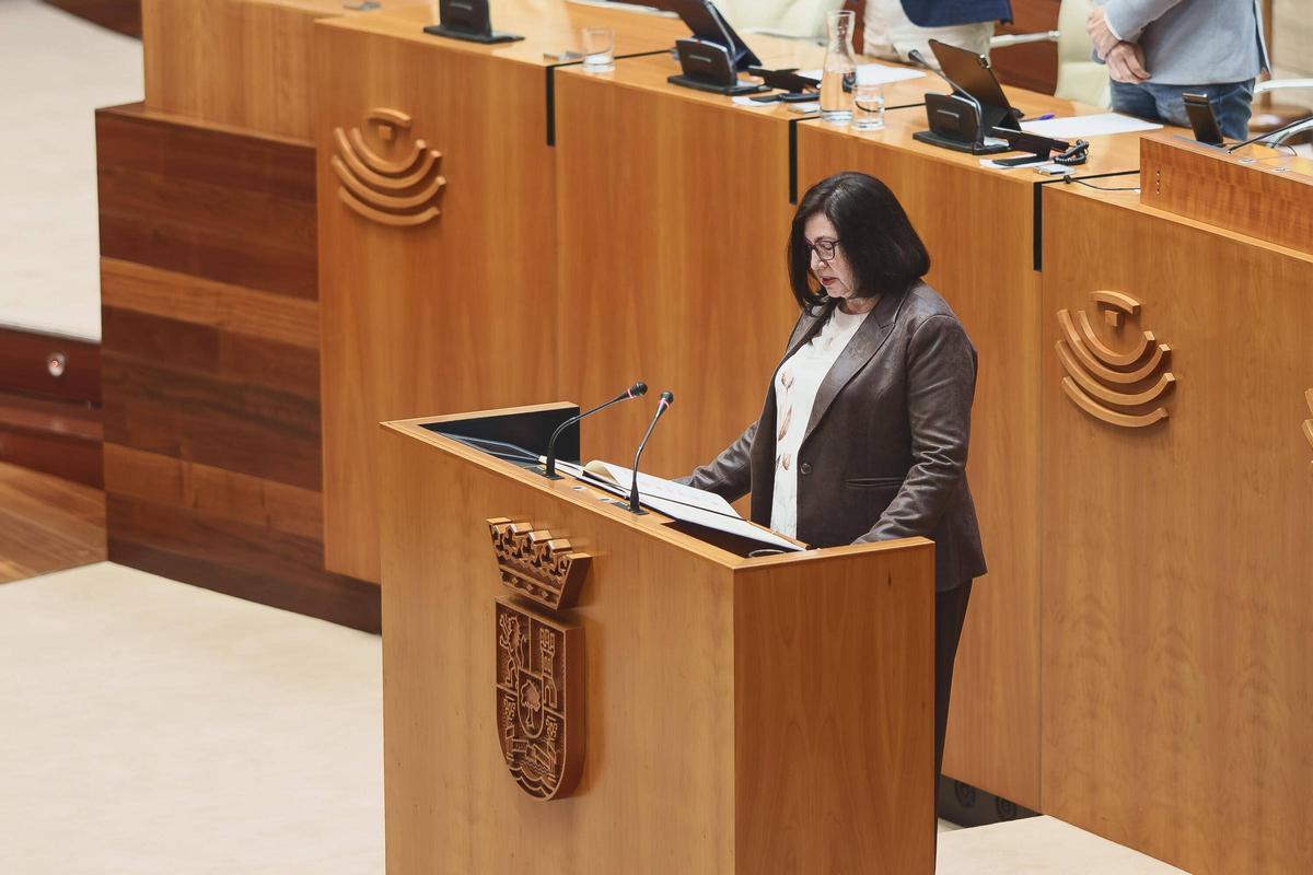 Fotogalería | El pleno de la Asamblea de Extremadura en imágenes