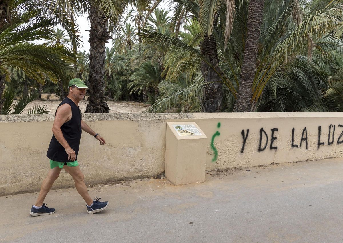Azulejo donde se explicaba la historia de la Pipa de Sempere en el Palmeral de Elche y, al fondo, el huerto donde estaba plantada