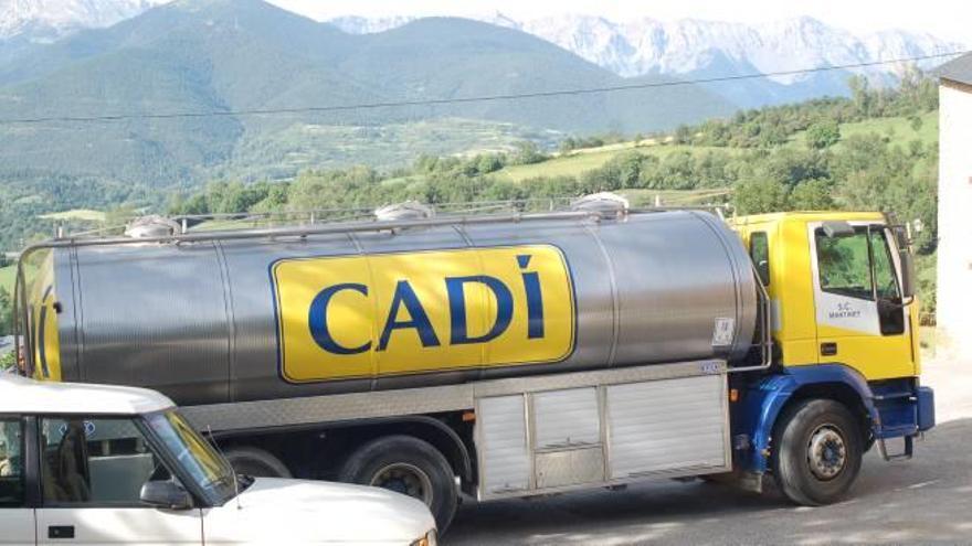 El camió de la cooperativa Cadí carregant llet a Prullans