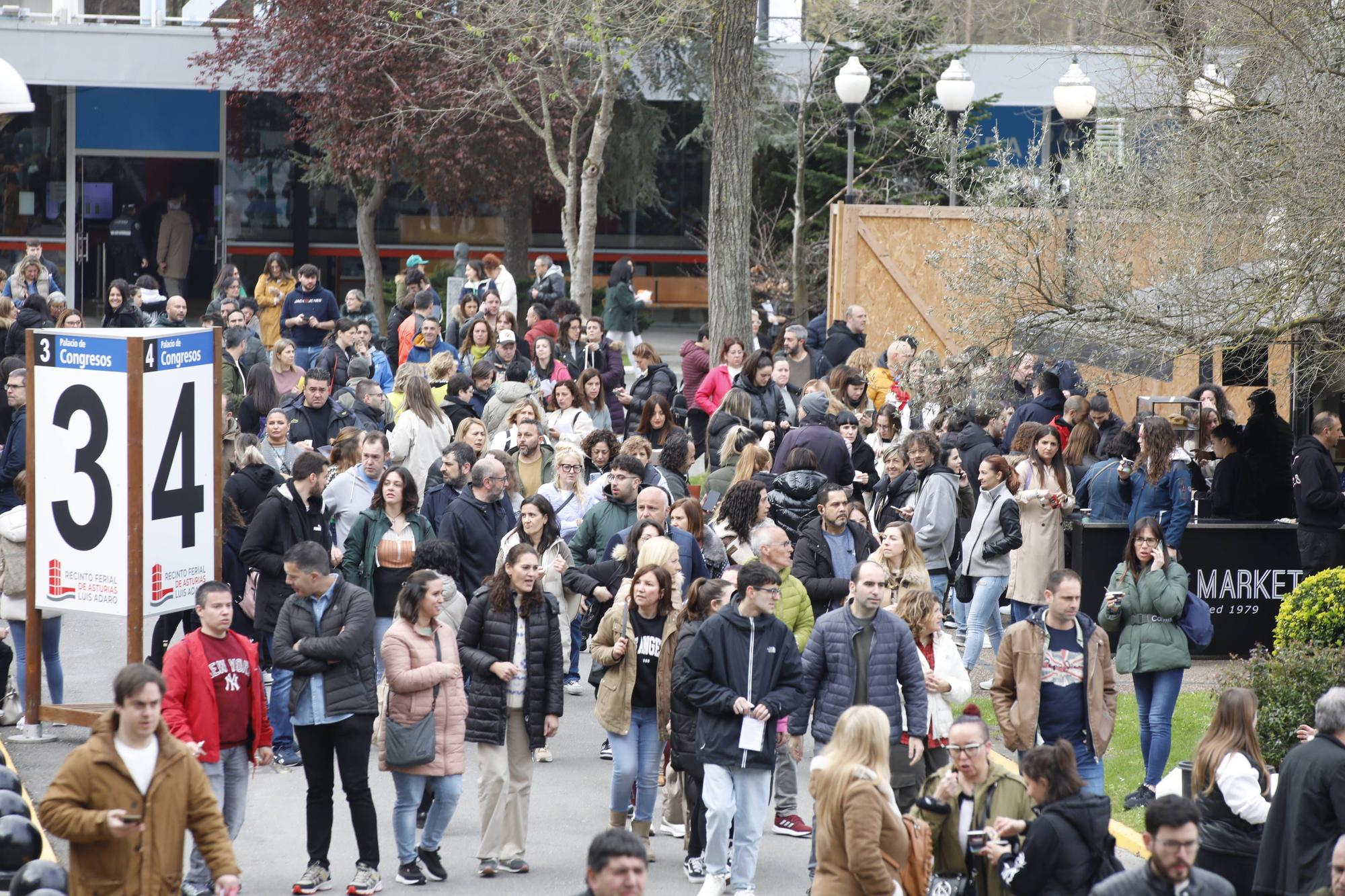 Miles de personas participan en la macrooposición de la sanidad pública asturiana.