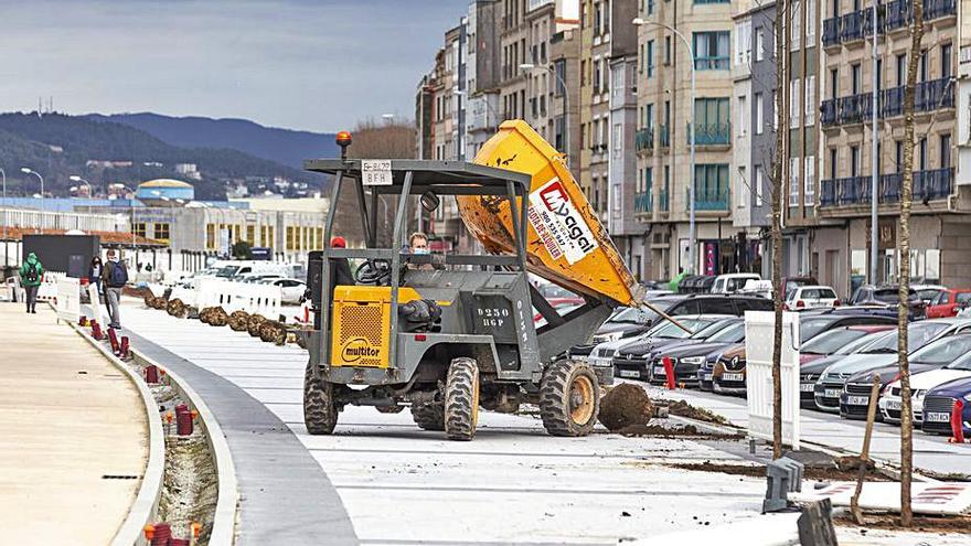 Tres mil plantas para embellecer la nueva avenida de Ourense - Faro de Vigo