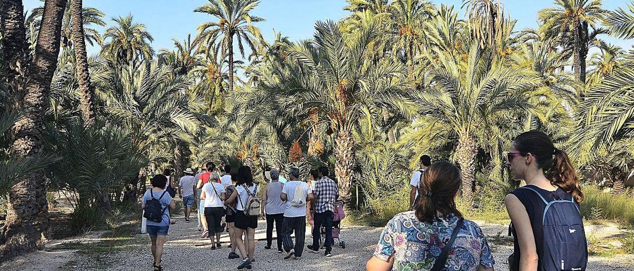 Un grupo de personas realizando una ruta por los huertos históricos del Palmeral de Elche.