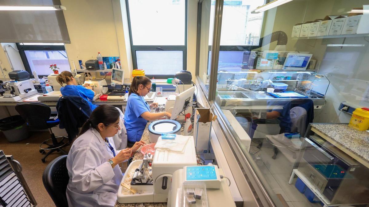 La Fundación CRIS Contra el Cáncer impulsa las investigaciones para acelerar los avances contra el sarcoma