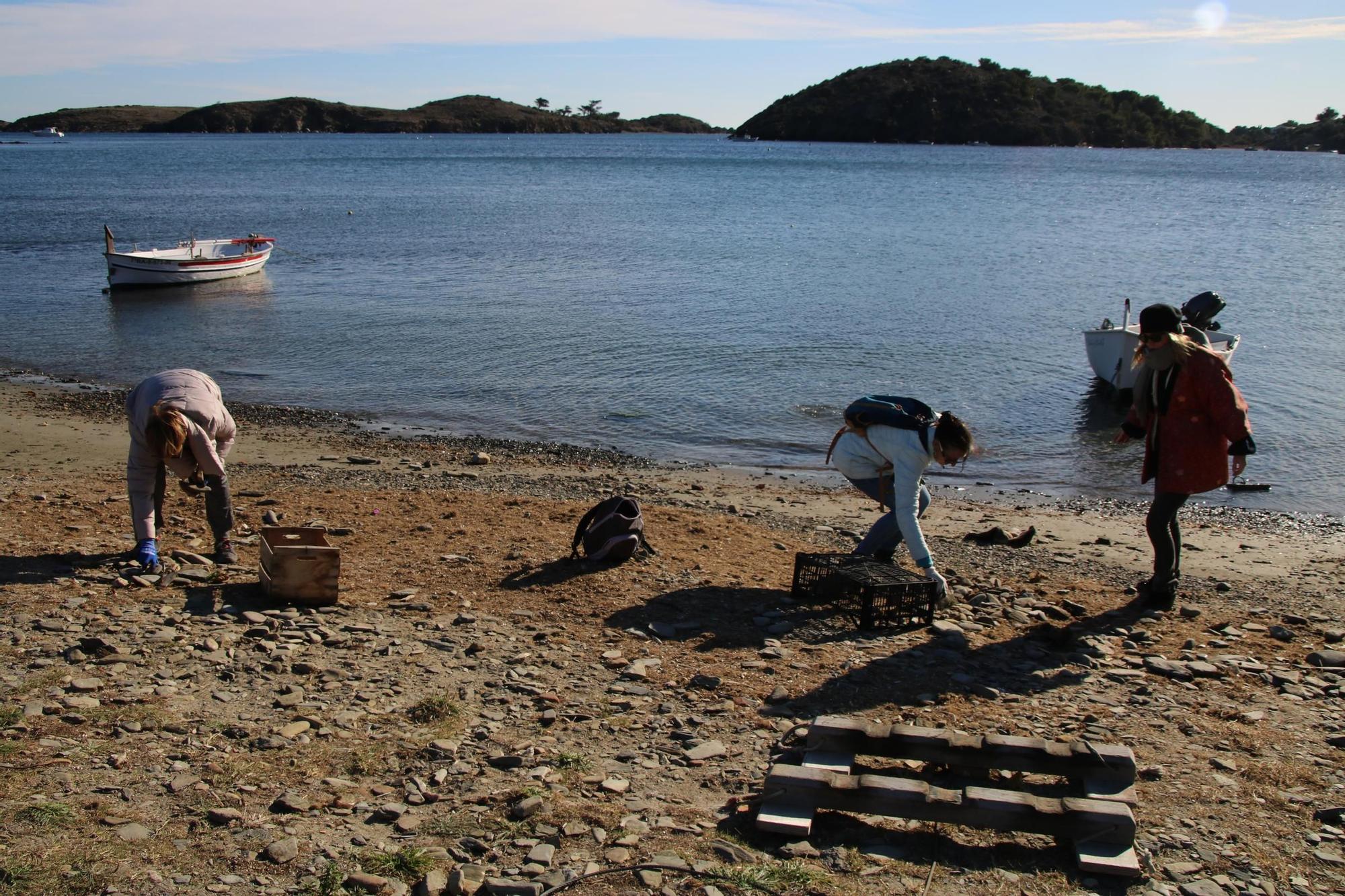 Reivindiquen les "passanelles" de Cadaqués amb el retorn d'una tona d'aquestes pedres a la platja de Port Lligat