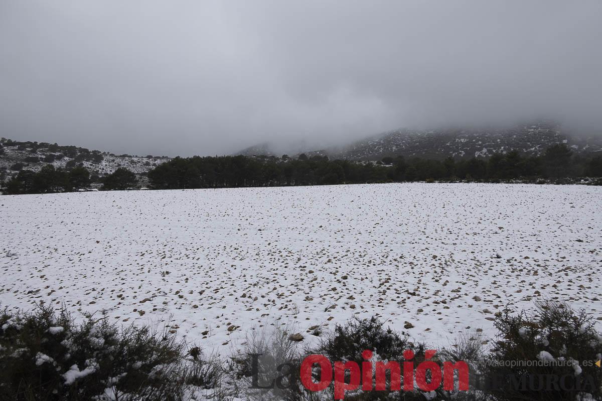 Así se está viviendo la última nevada en las proximidades de Revolcadores en Moratalla Así se está viviendo la última nevada en las proximidades de Revolcadores en Moratalla