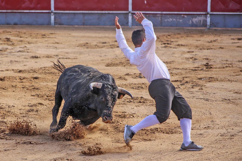 Concurso Nacional de Recortadores en Benejúzar