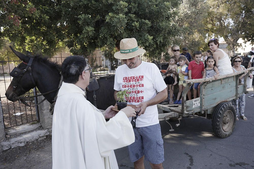 Sant Bernat, contra la violencia doméstica