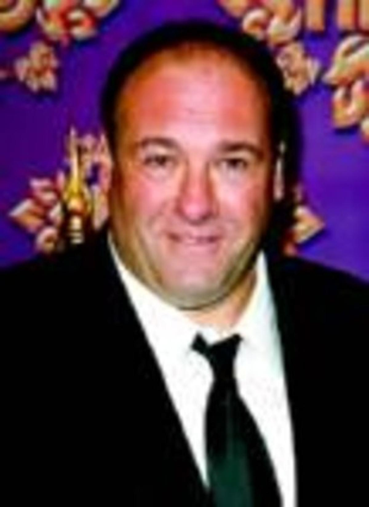 JAMES GANDOLFINI ES CASA A HAWAII_MEDIA_1 JAMES GANDOLFINI ES CASA A HAWAII_MEDIA_1