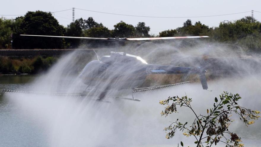 El helicóptero recorre este martes el Xúquer para combatir la mosca negra