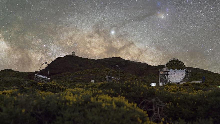 Urogallo fantasmagórico, Primer Premio de Cielo Profundo.