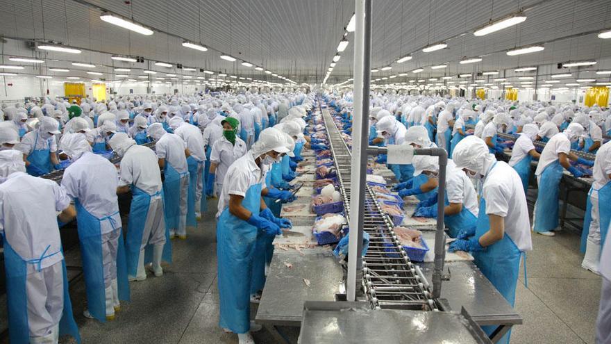 El 90% del panga que se consume sale de piscifactorías de Vietnam.