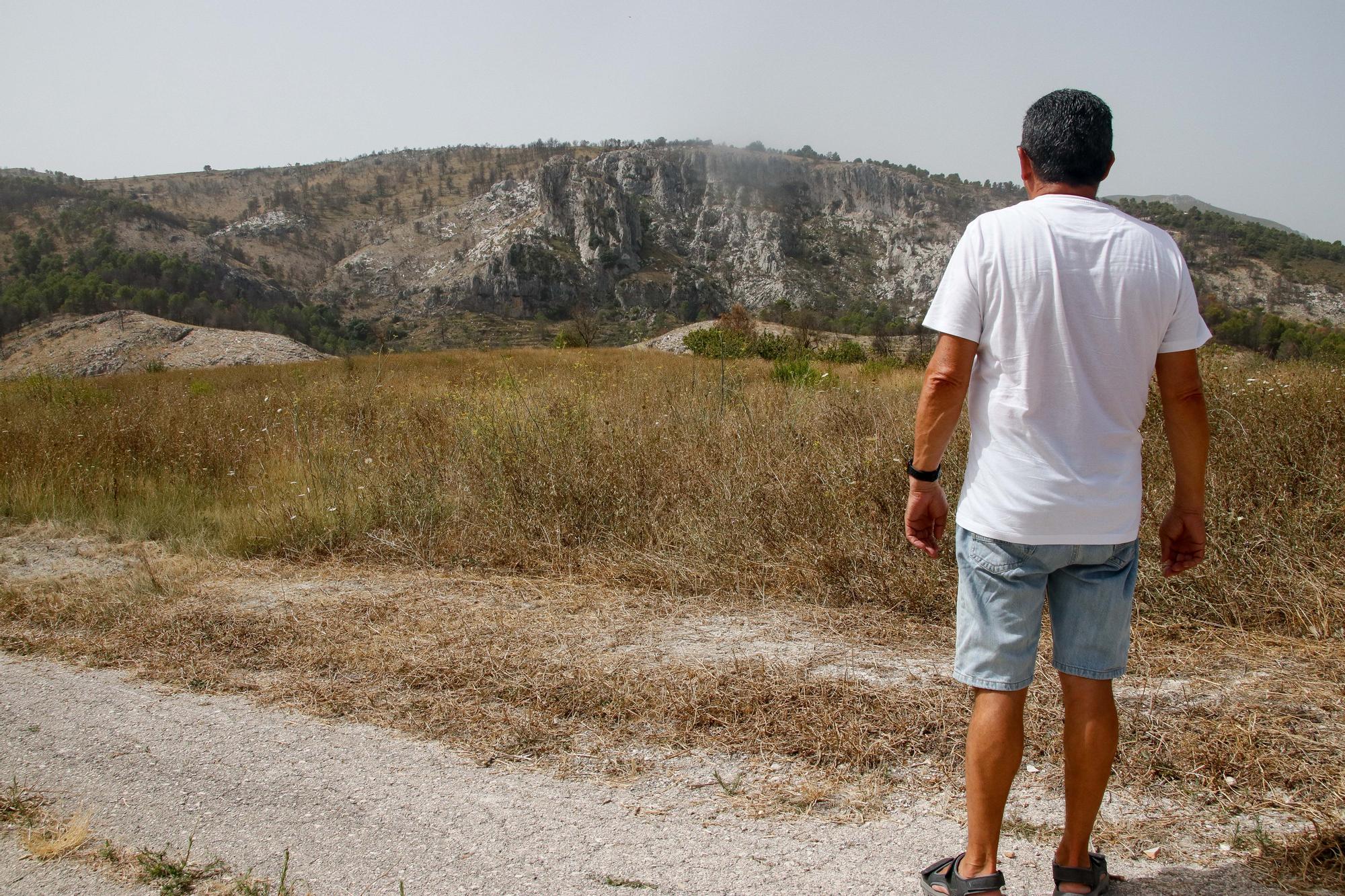 Así está el Vall d'Ebo un año después del incendio