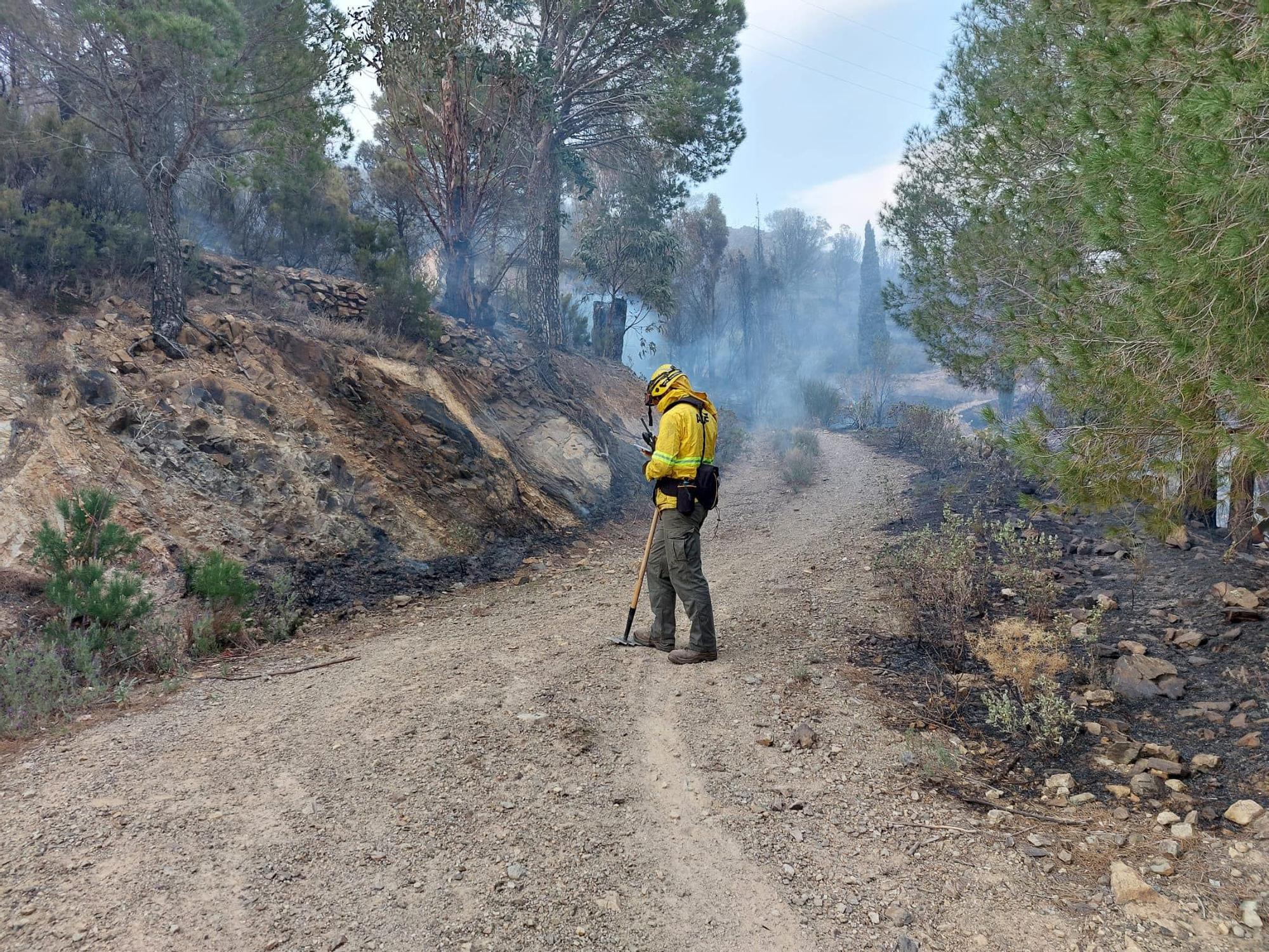 L'incendi que ha cremat a Portbou els dies 16 i 17 d'abril