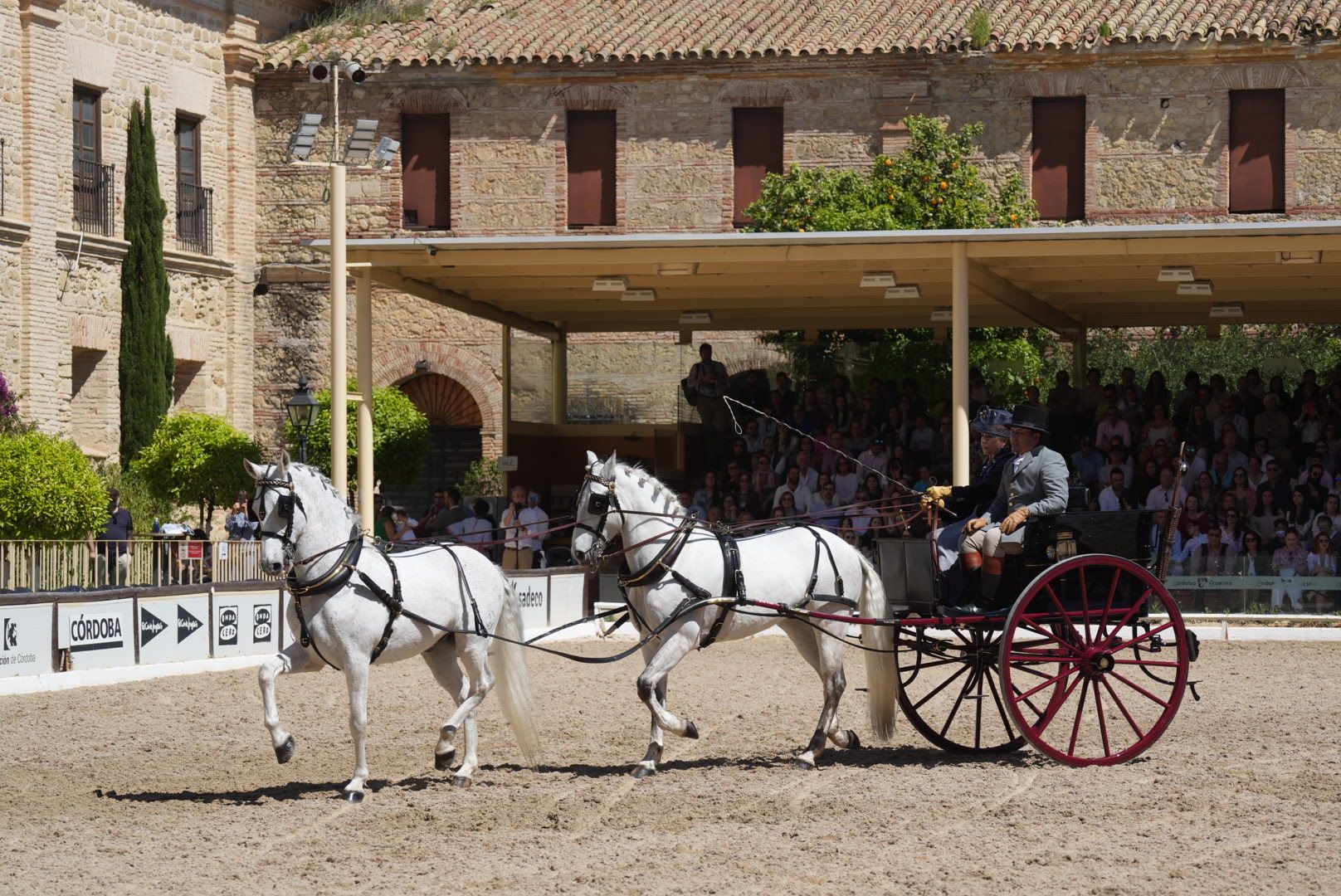 Marcha ecuestre para conmemorar el 175º aniversario de la Facultad de Veterinaria