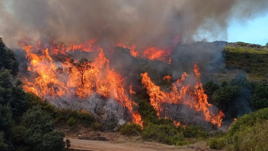 La evolución del incendio de Bejís es favorable pero preocupan las temperaturas del fin de semana