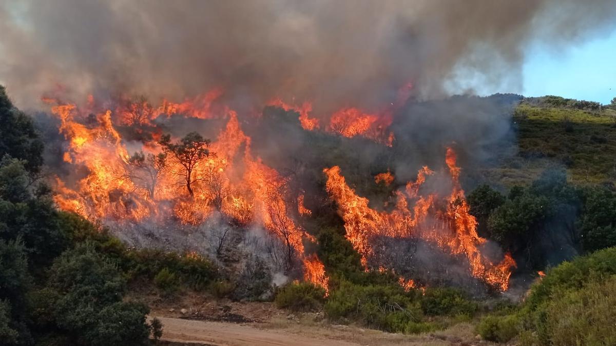 El fuego rebrota en Jérica