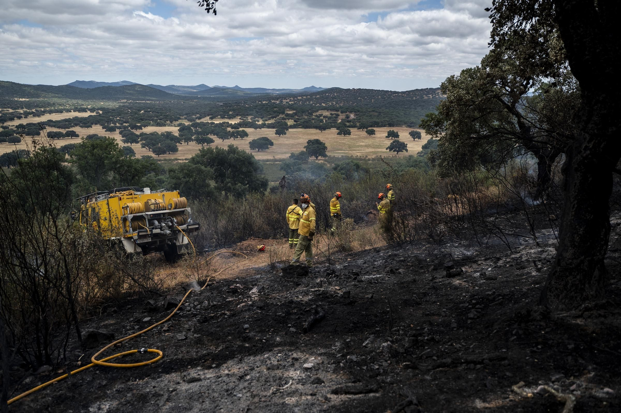 Las imágenes del incendio de este viernes en Cáceres