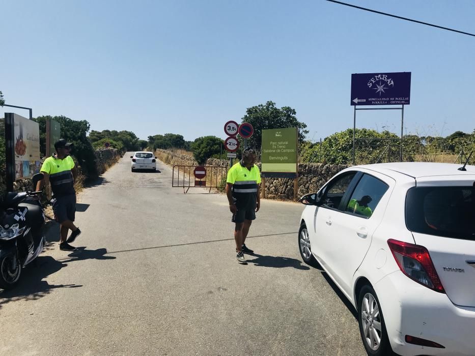 Colapso de vehículos para llegar a las playas de es Trenc y ses Covetes de Campos