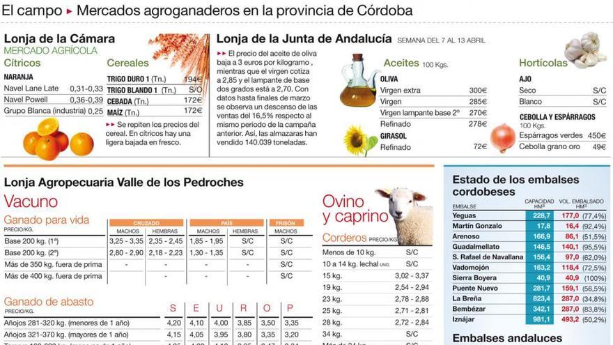 El agua impide tratar contra la septoria