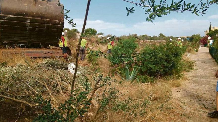 Zona en la que se ejecutan las controvertidas obras.