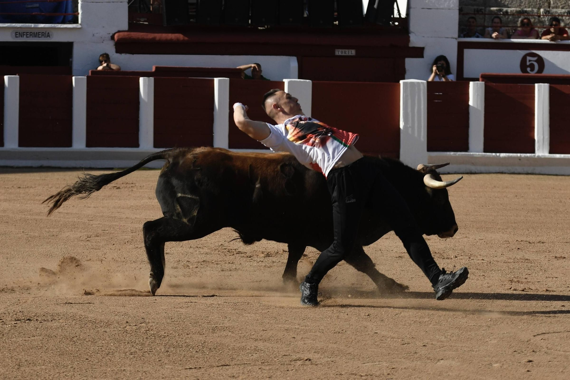 Concurso Recortadores San Pedro 2025