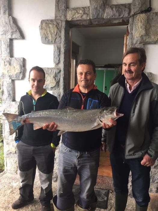 Primer día de la temporada de pesca del salmón. Campanu 2016