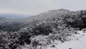 Neu a Catalunya: Últimes notícies de l’onada de fred i estat de les carreteres en directe