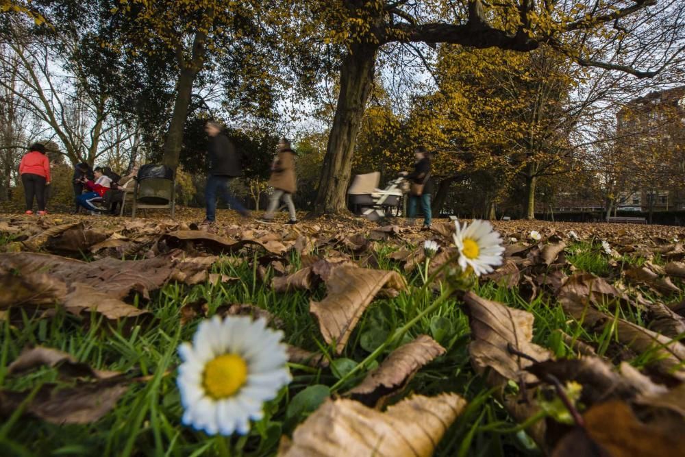 Asturias, un paraíso en otoño