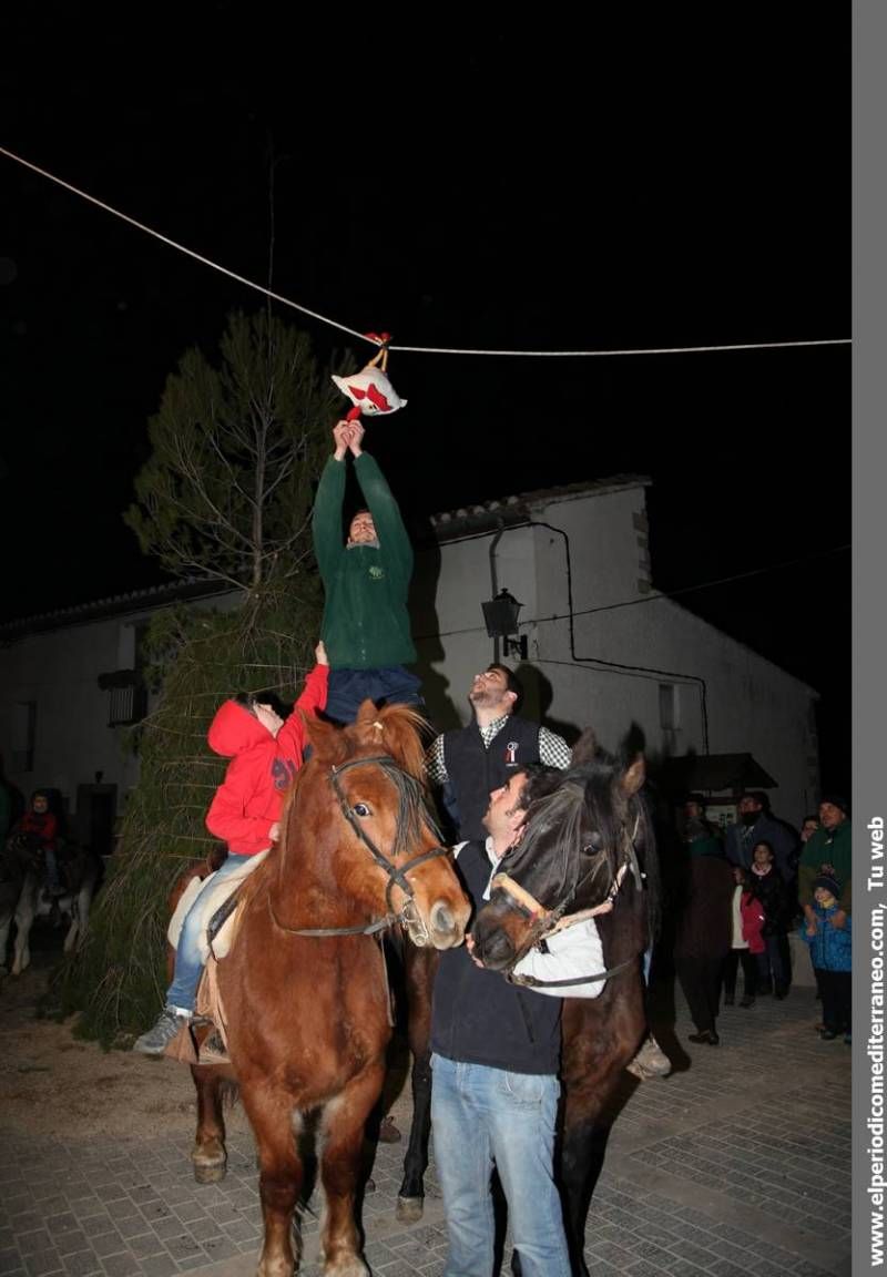 GALERÍA DE FOTOS -- Palanques convierte Sant Antoni en una gran fiesta