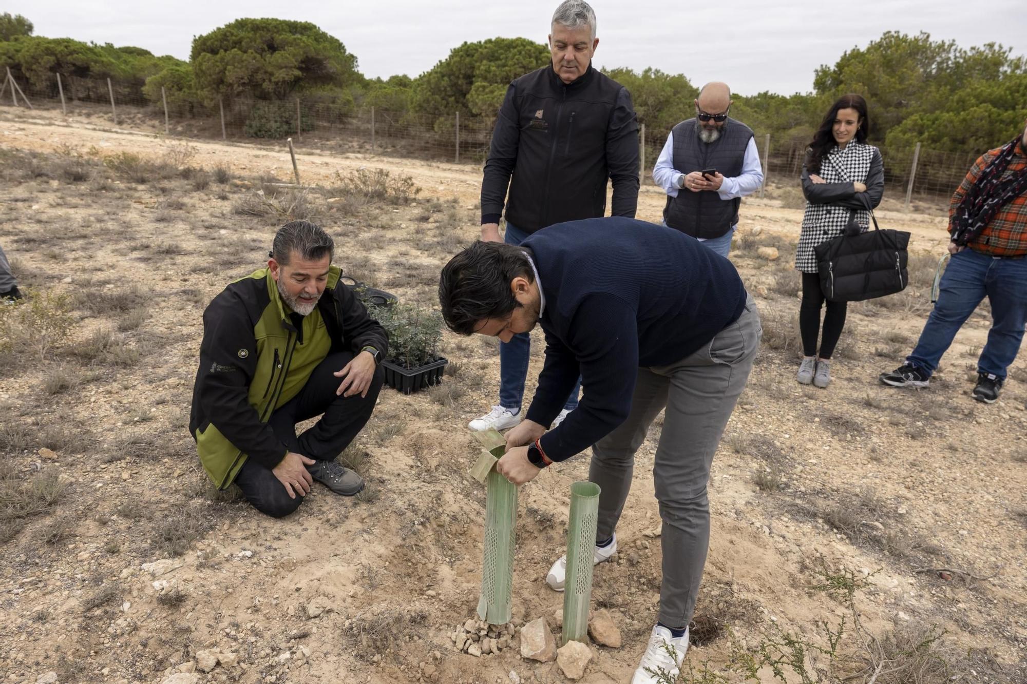 800 escolares se implican en la celebración del Día del Árbol con la plantación de especies autóctonas en torno a la laguna de La Mata de Torrevieja